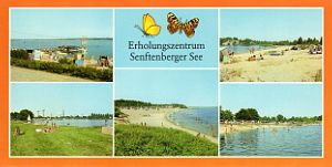Senftenberg